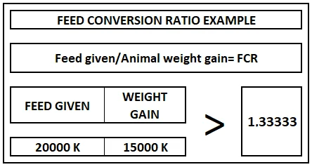 Feed Conversion Ratio