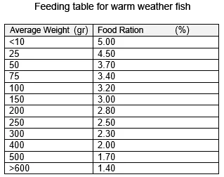 Feeding Table