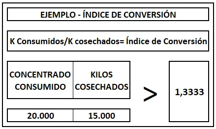 Índice de Conversión